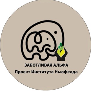 alphaparenting2