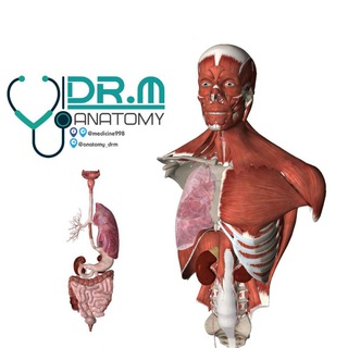 anatomy_drm