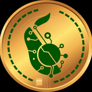 avocadocoin