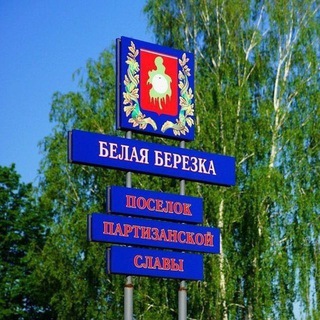 belayaberezka