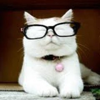 catturd2tg