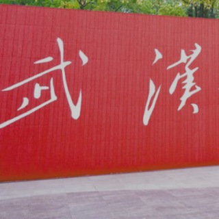 cctvmvtvb