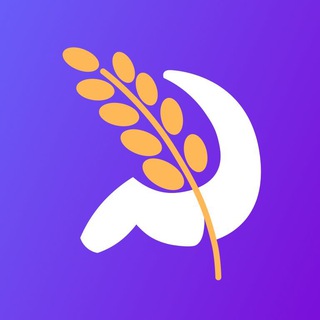 cenazerna