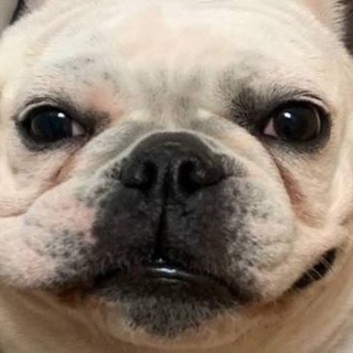 cheechako