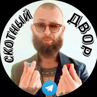 ckotiiidvor