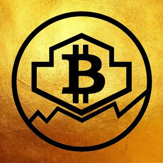 cryptoark_noah