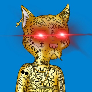 cryptocatcalls