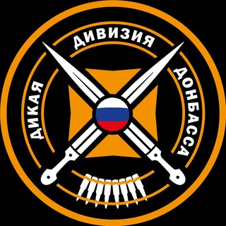 diviziya15