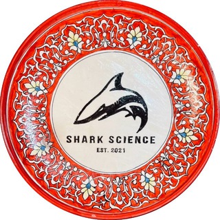 drshark_asmi