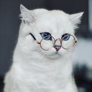 eto_zhiznenno