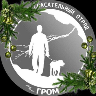 grom_poisk