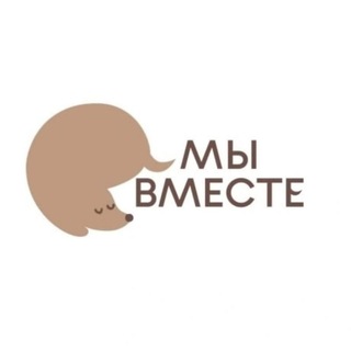 helpdogmini_spb