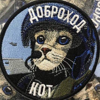 kot_dobrohod