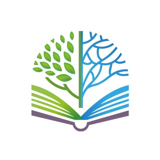miptschool
