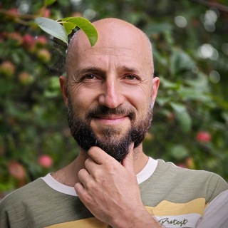 mysady