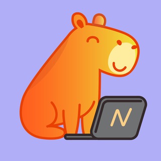 networkio_io