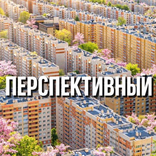 perspectiv26