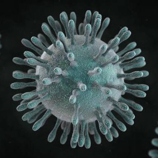 phcoronavirus