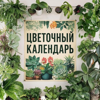 plant_events_mskspb