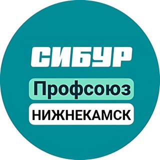 profkomnknh