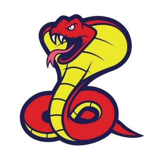 pythonrabota
