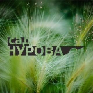 sadnurova