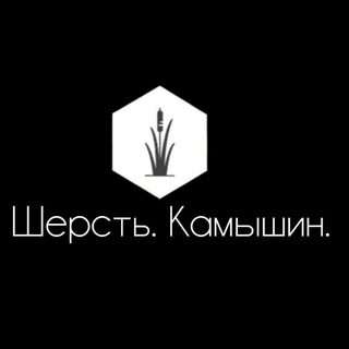 sherstkamyshin