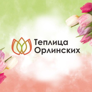 teplicaorlinskih