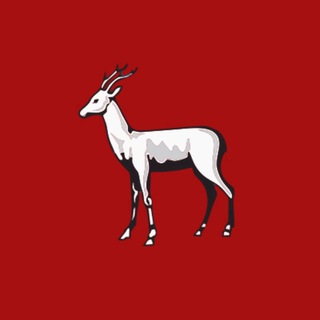 vsamareitochka63