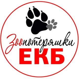 zoopoteryashki