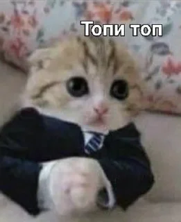 ТОПИ ТОПП
