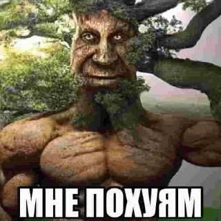 Деревянная хуйня