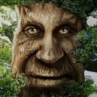 Trees with deep meaning