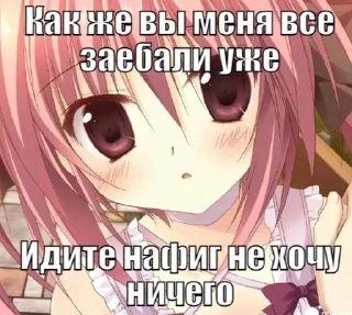 nyashkaaameowmeow