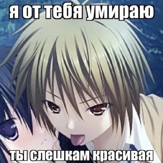 какиета тянки